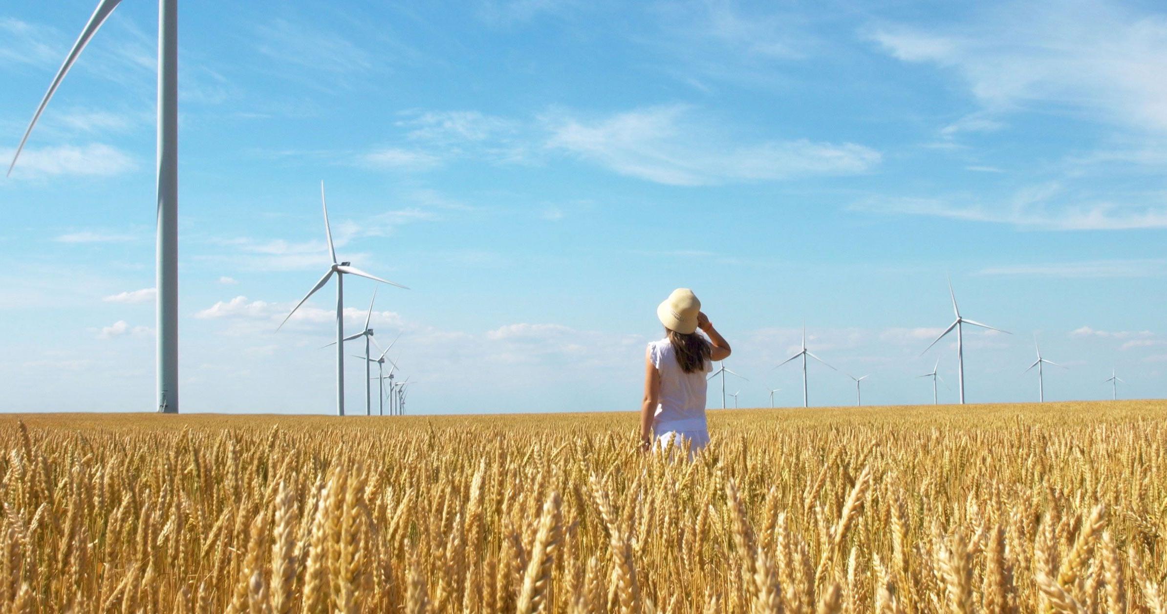 妇女站在麦田里，风车能产生可持续能源.